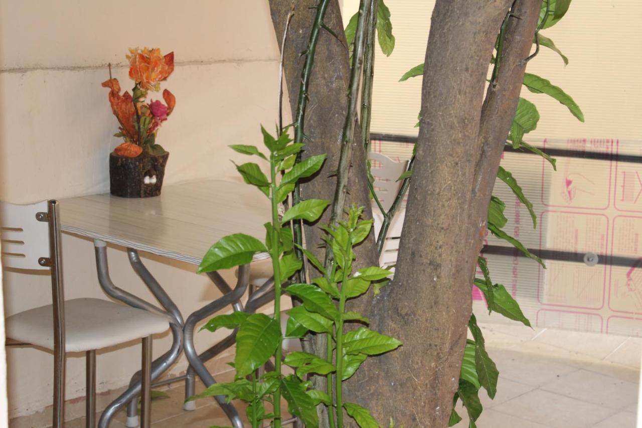 Carvan Hotel Istanbul Ngoại thất bức ảnh